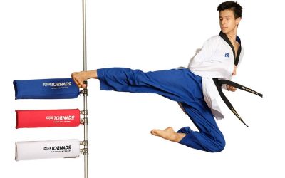 Taekwondo Trainingsgerät für Kicks im Check