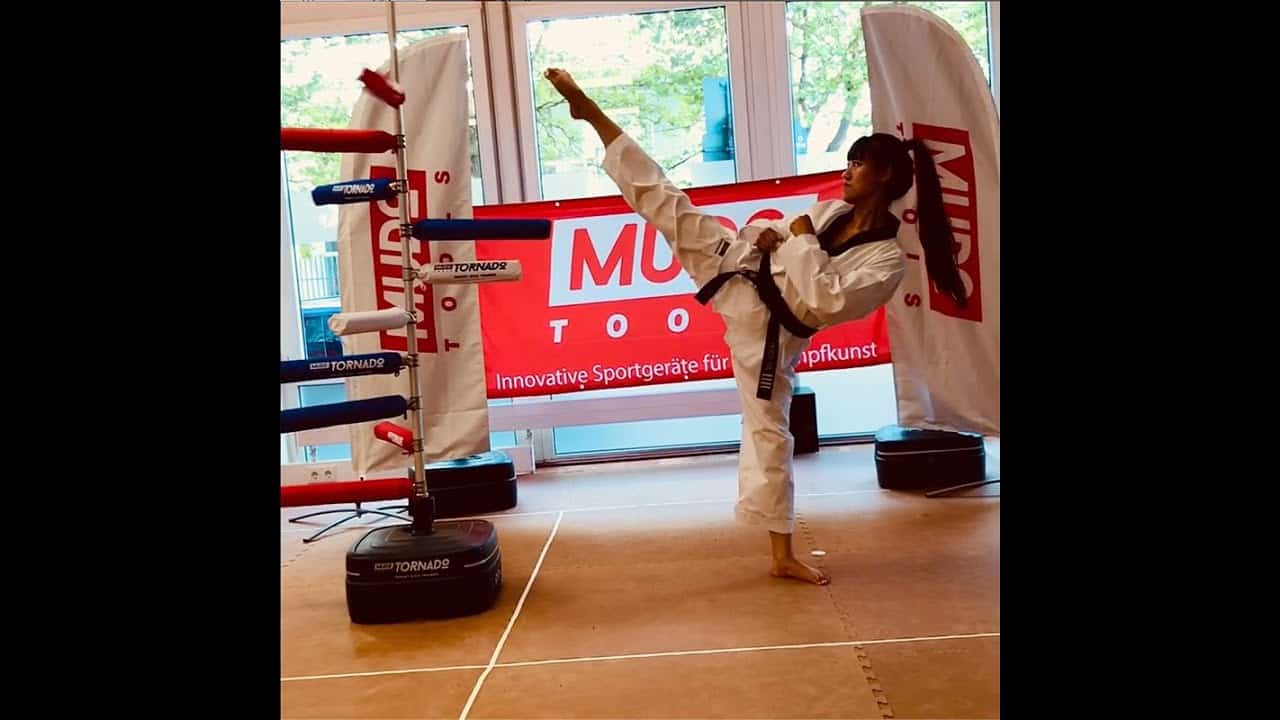 Tornado - Target Kick Trainer – Alternative to traditional pads and punching bags